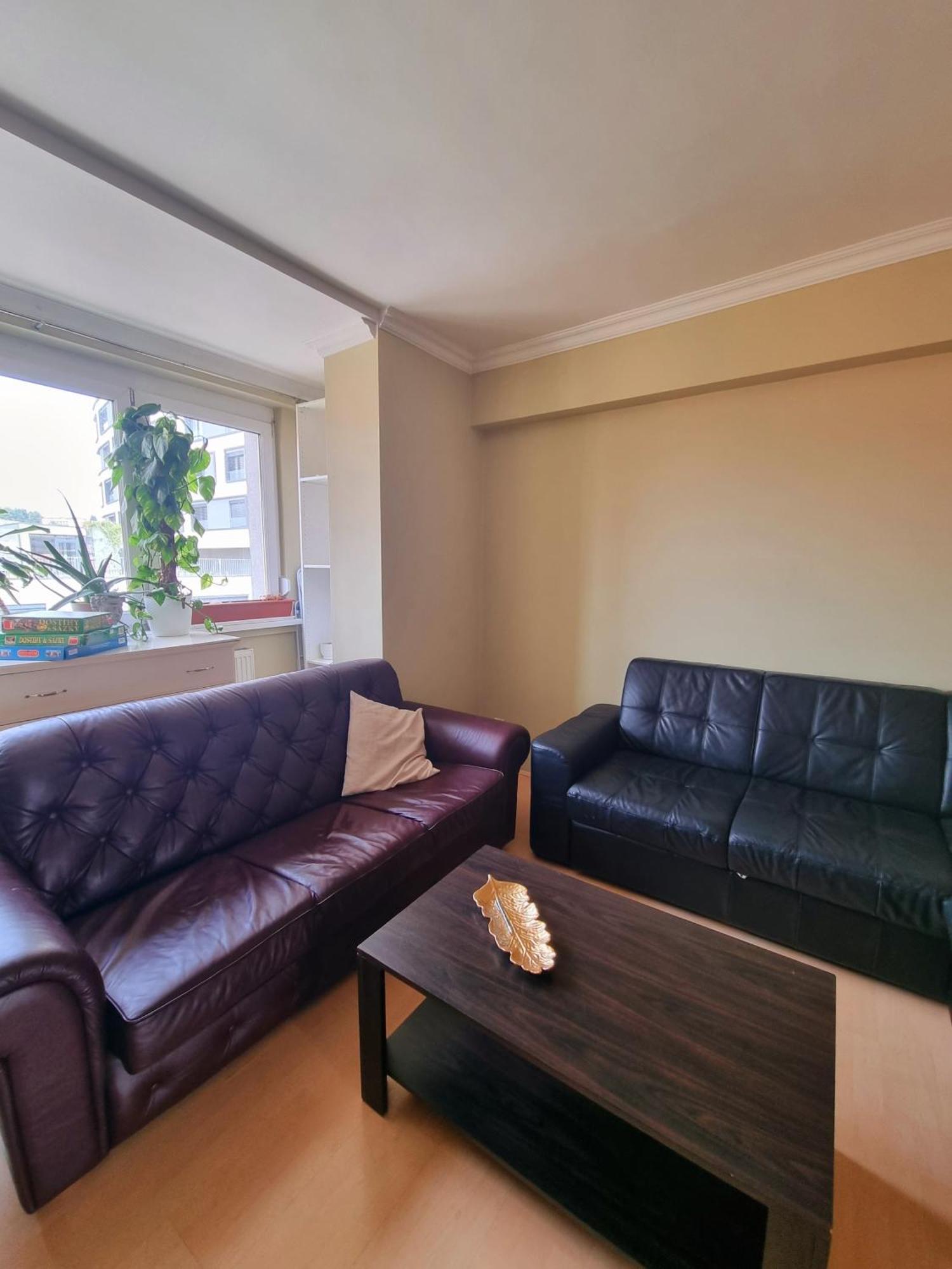 Big 4 Room Huge Apartment Братислава Экстерьер фото